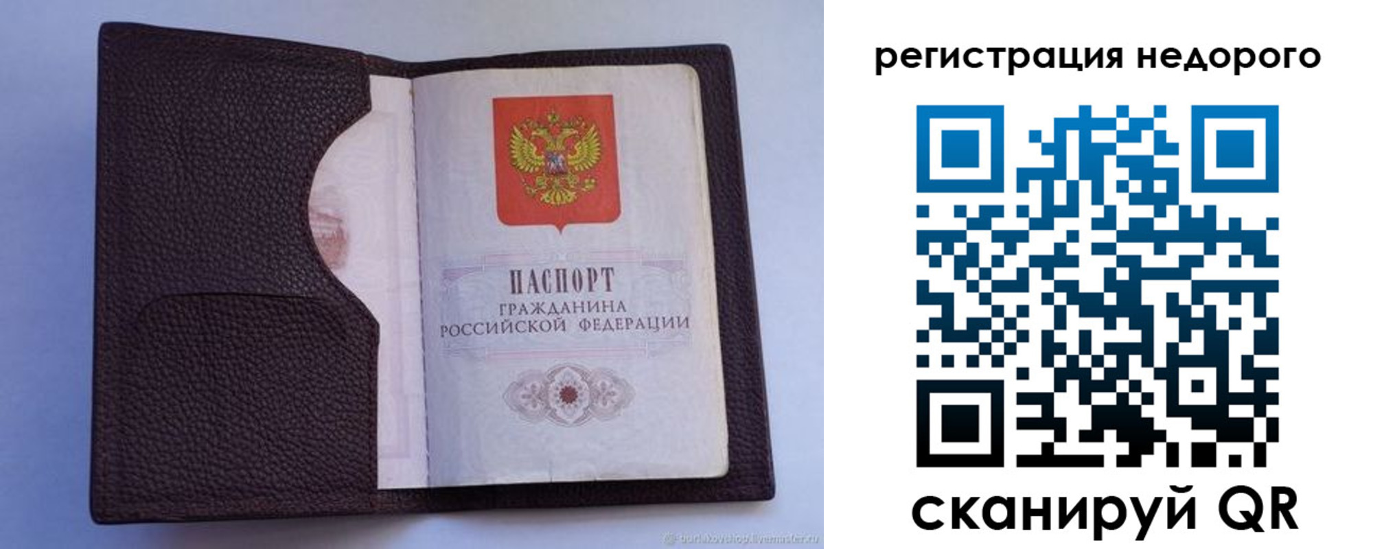где прописаться в Елизово